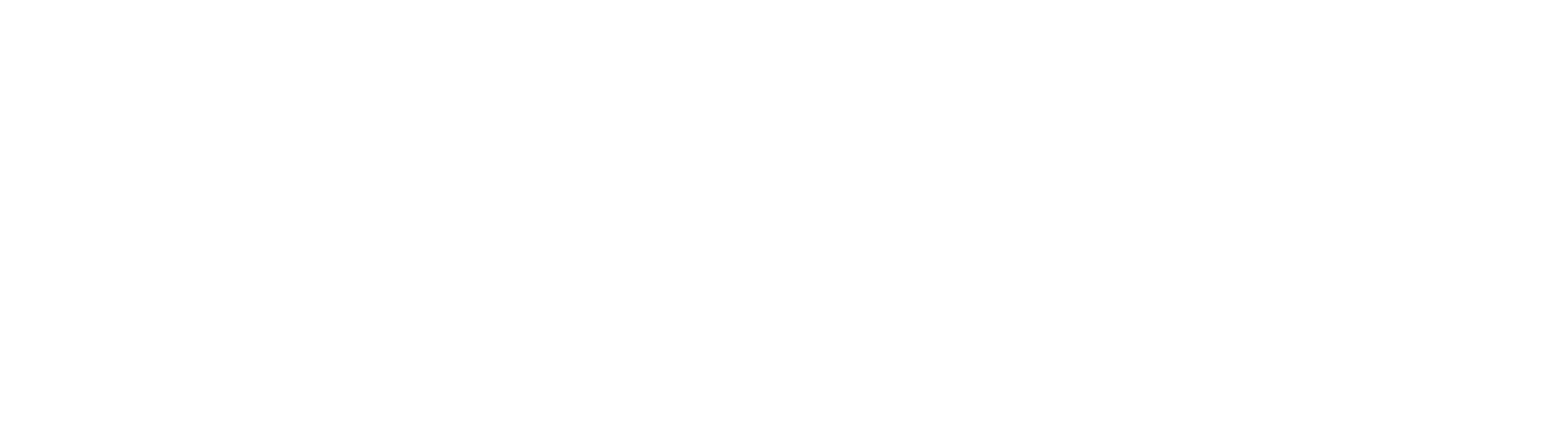 Code Sparrow | Website Design, Development & Digital Marketing